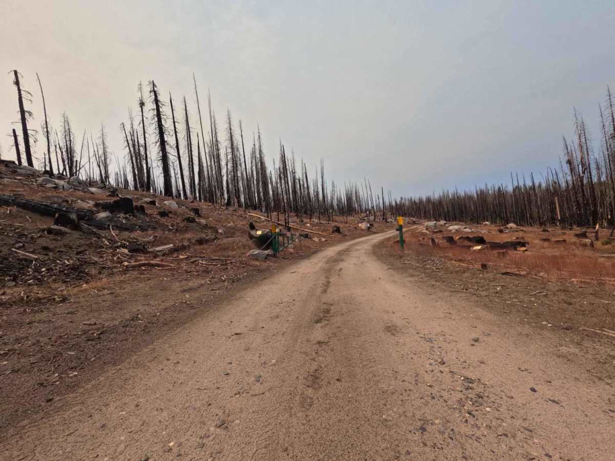 Lodgepole - FS 9s027 photo 2