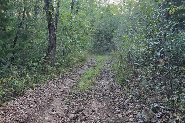 Chimney Trail Bypass