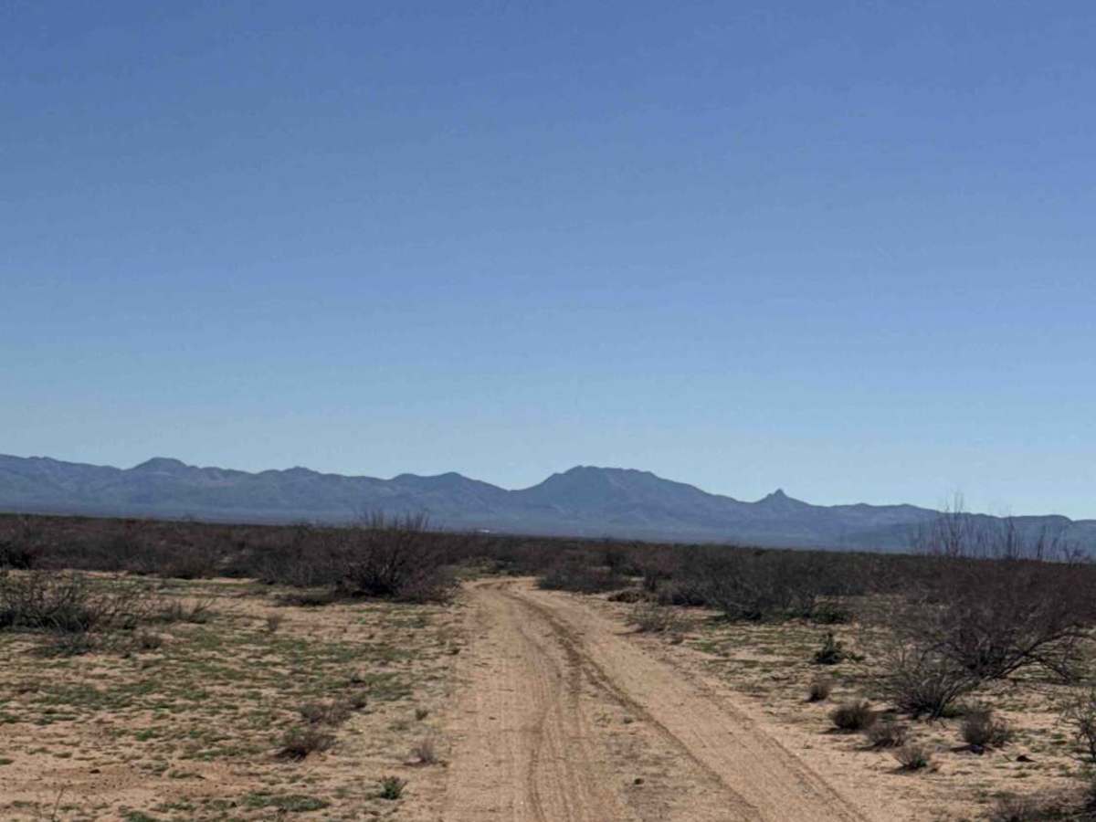Ss1180 trail photo