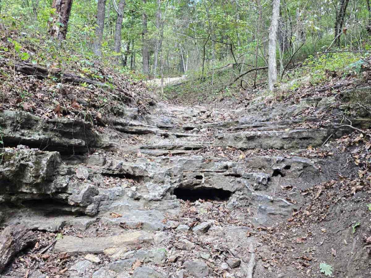 White Knuckle trail photo