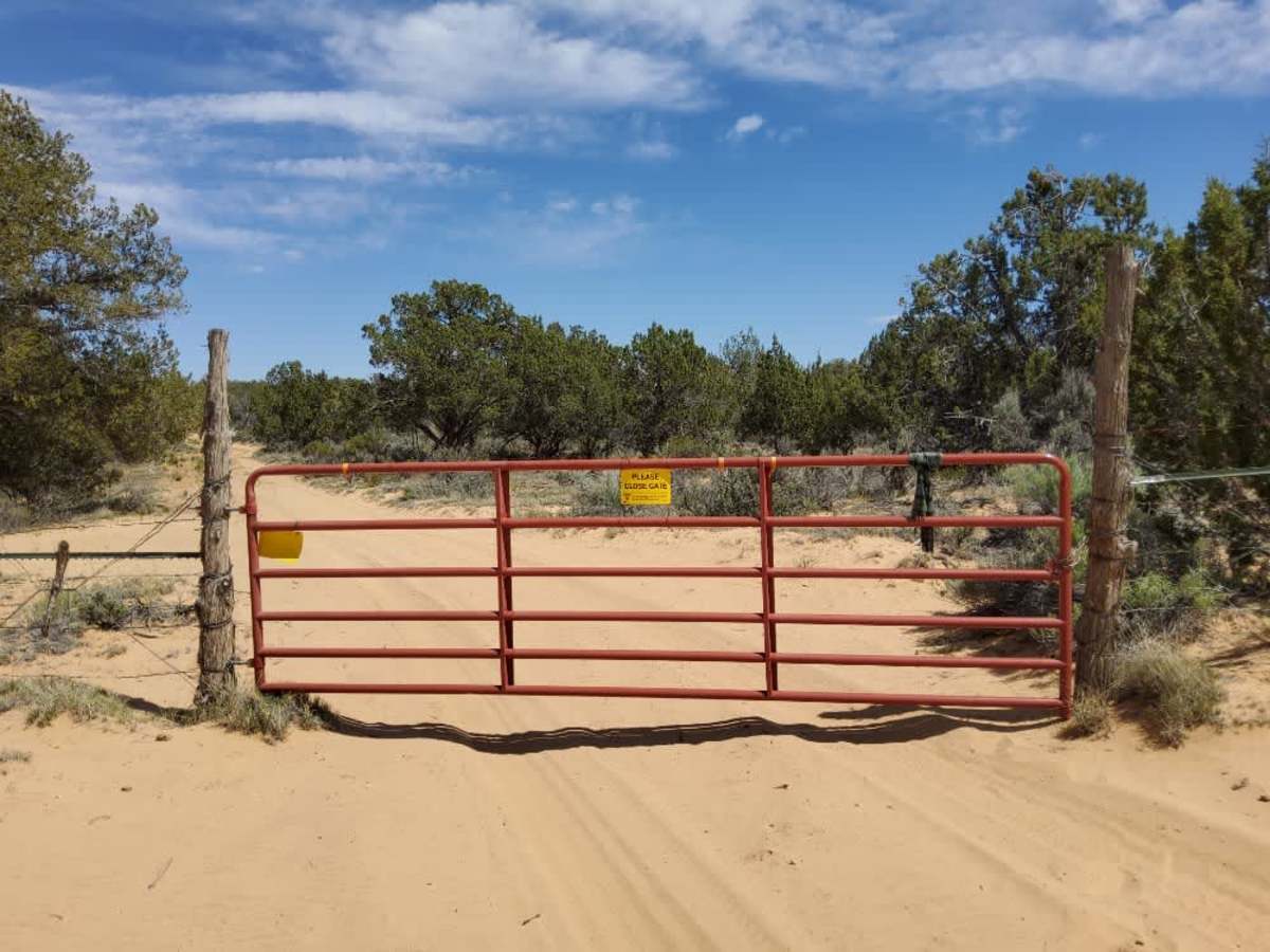 BLM 1013B photo 3
