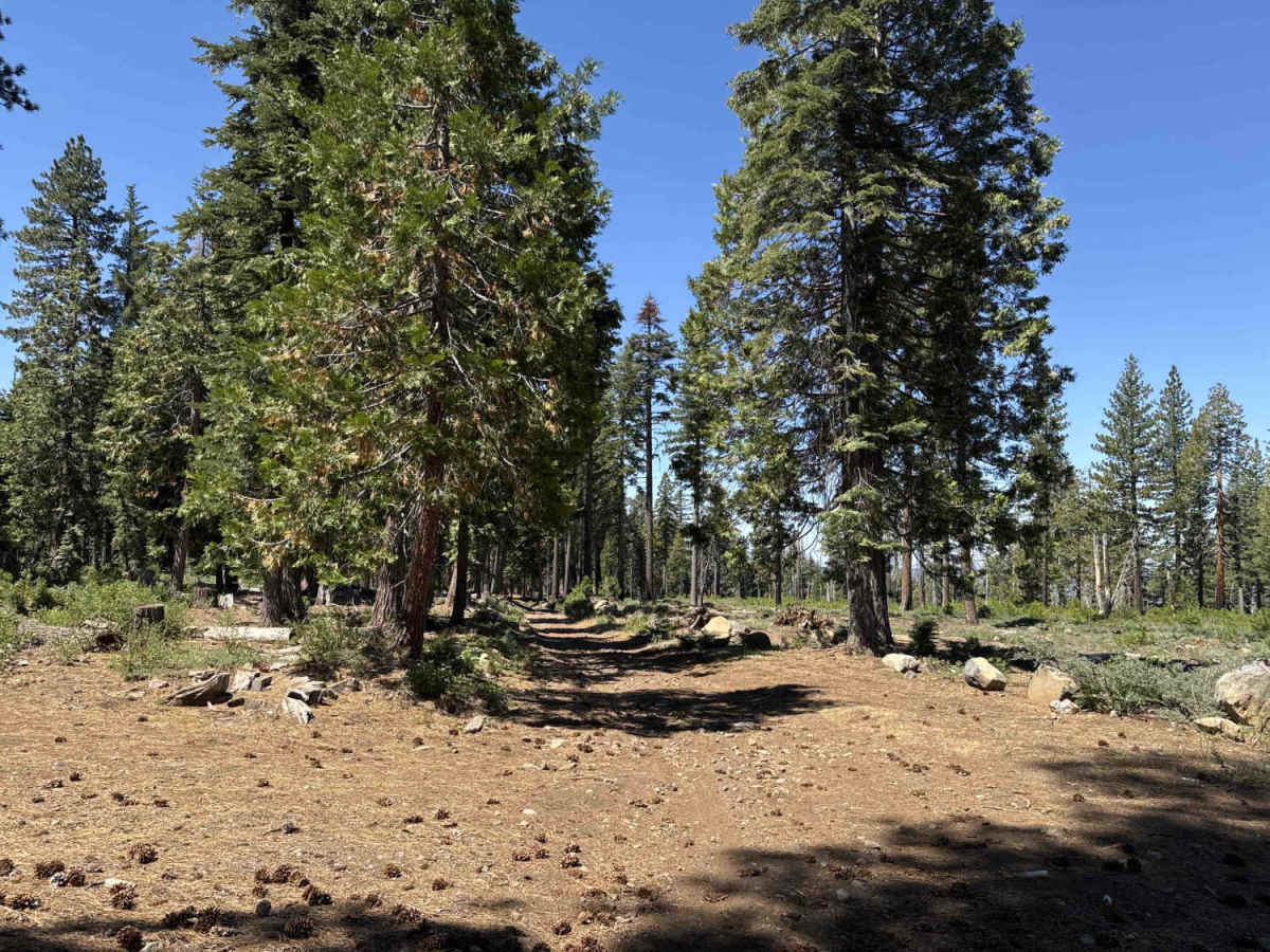 Last Chance Road 13E17/FS 44-022 trail photo