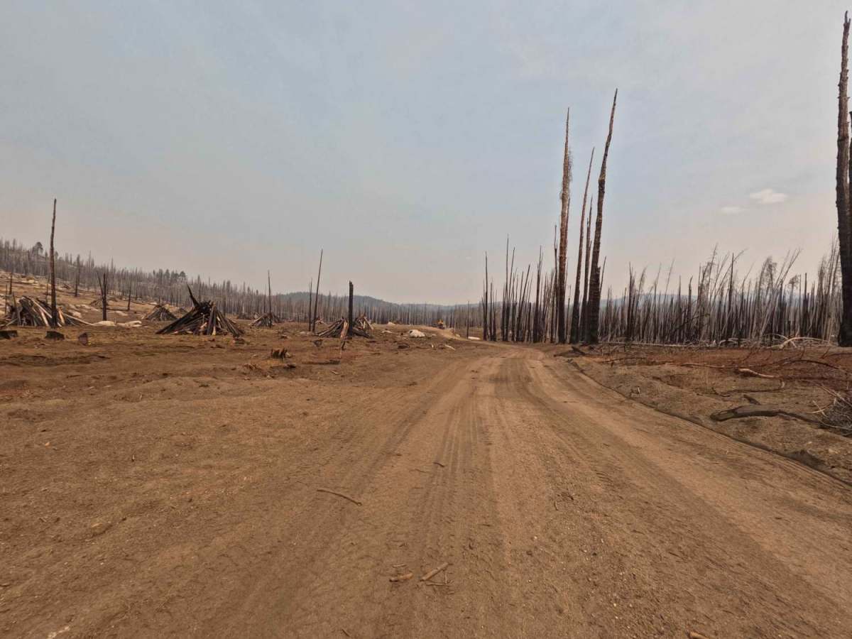 Lower Tamarack - FS 9s026 photo 5