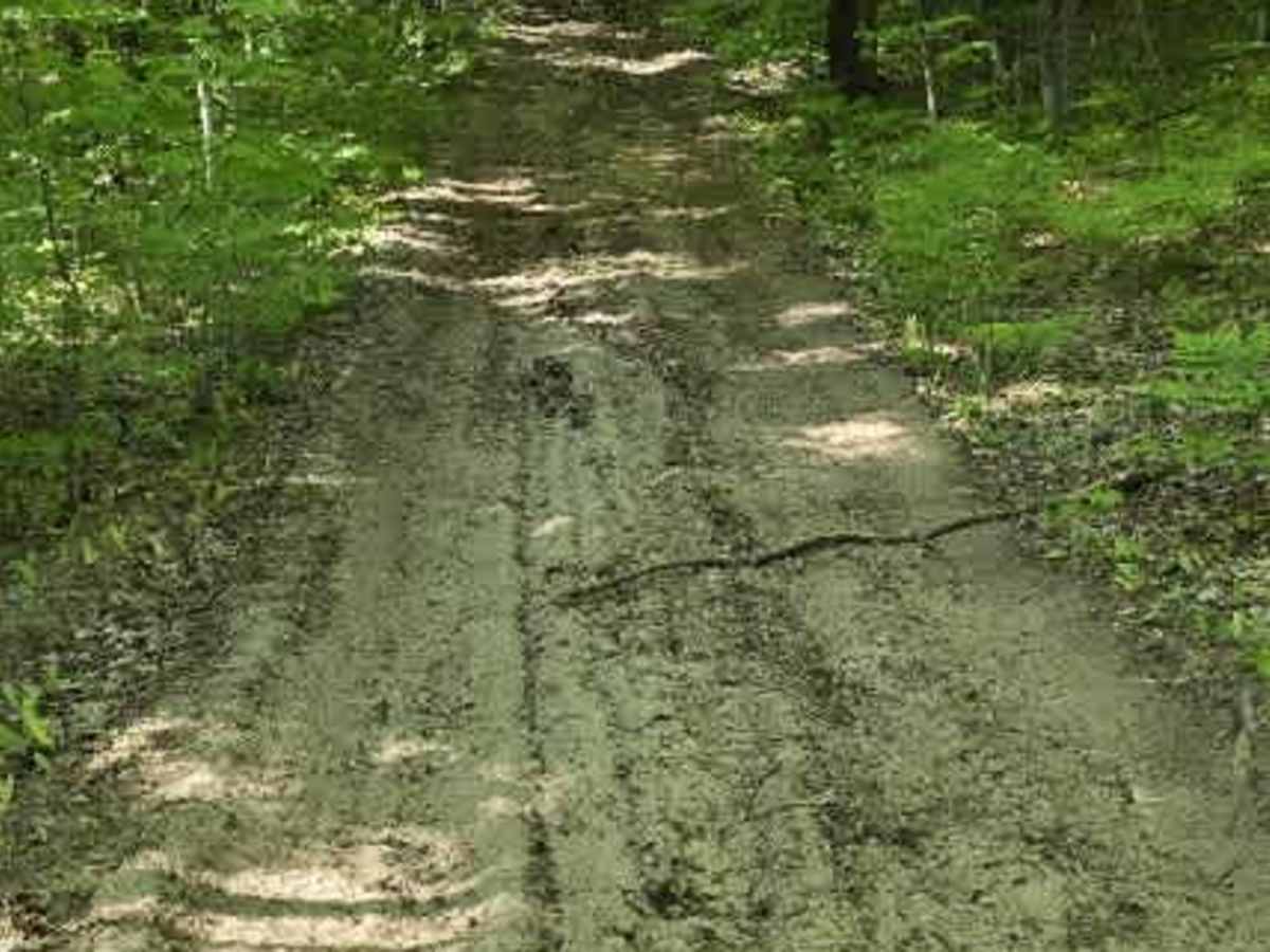 Backwoods Bypass photo 6