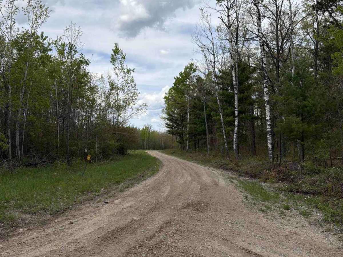 Vondette trail photo