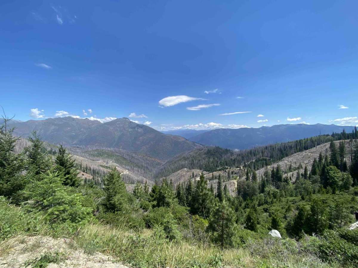 Up Little Boulder - FS 37N53 trail photo