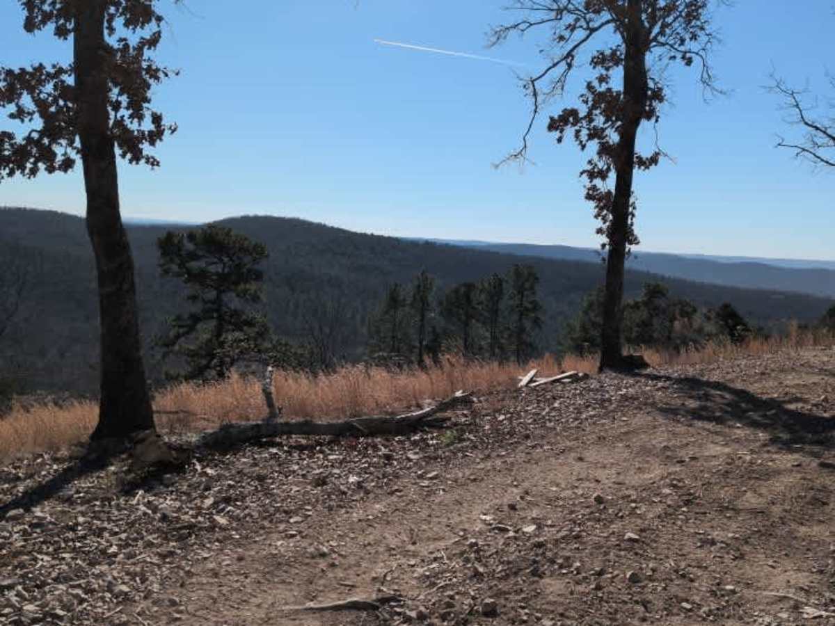 E12 Prothane Point photo 5