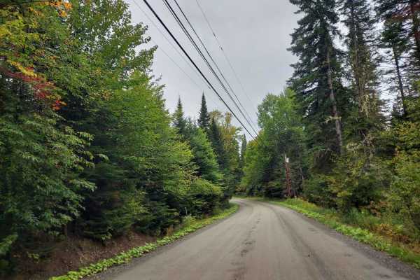 Arthur Scott Road