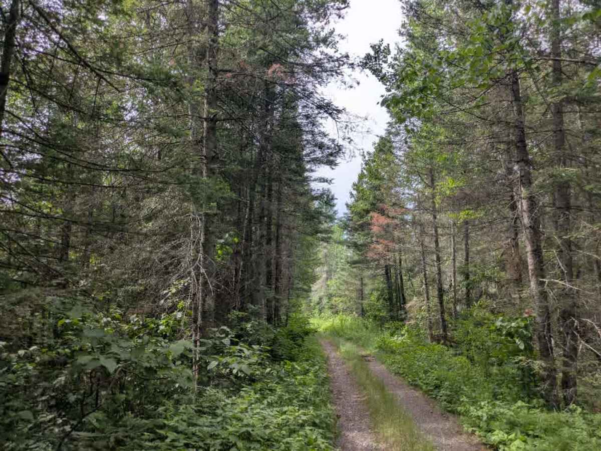 Pequaywan/Brimson Trail photo 5