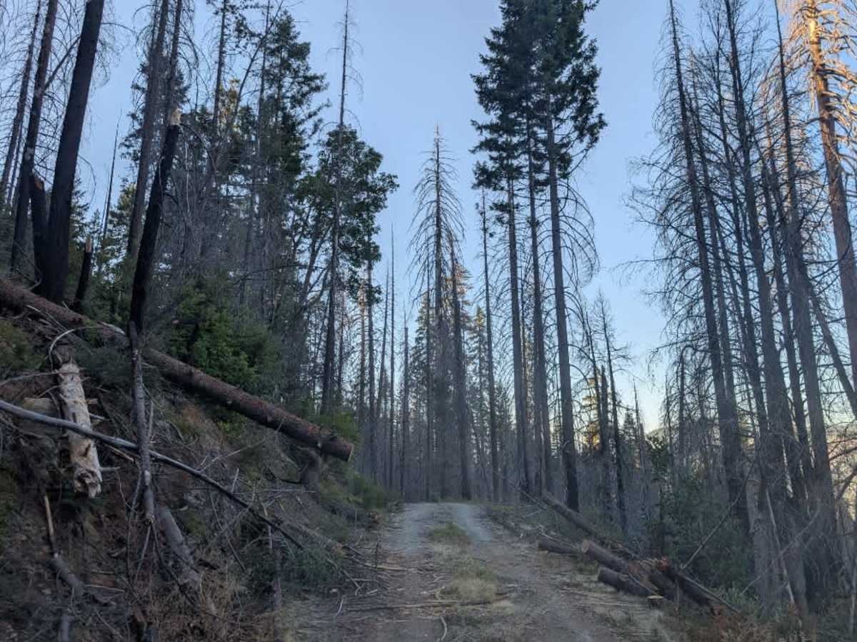 Swift Creek photo 6