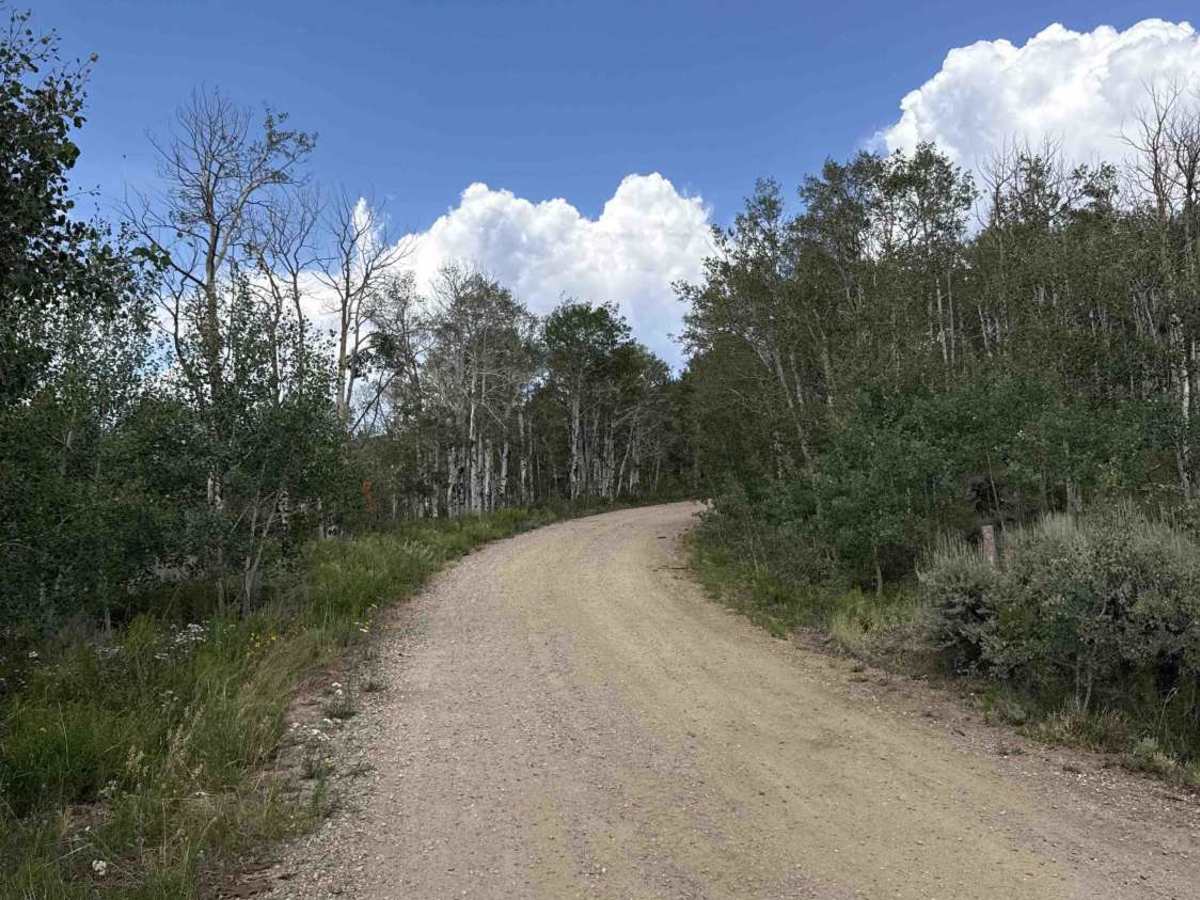 Old Corral Peak Test Road - 12 photo 4