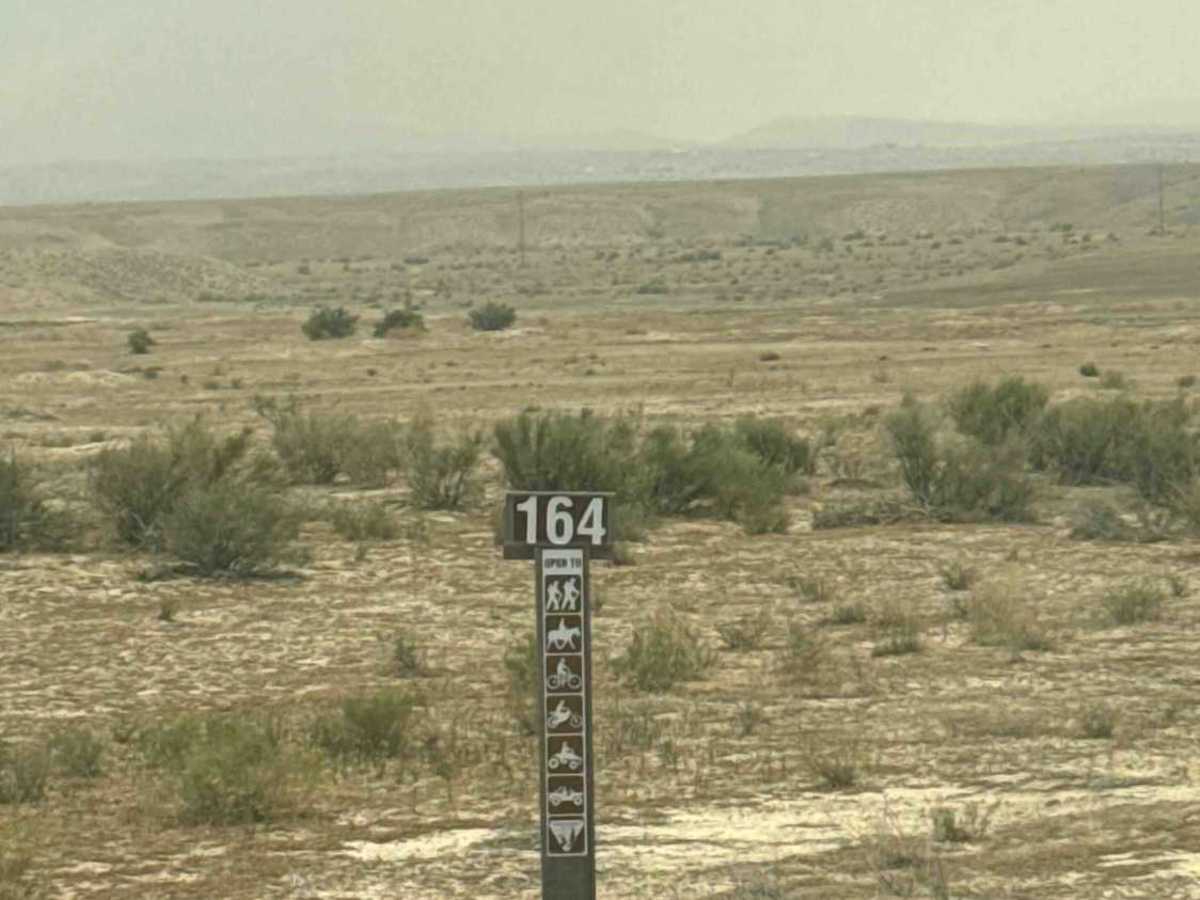 BLM 164 photo 3
