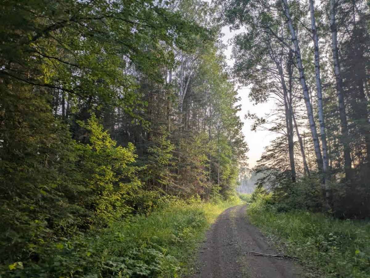 Swamp Lake trail photo