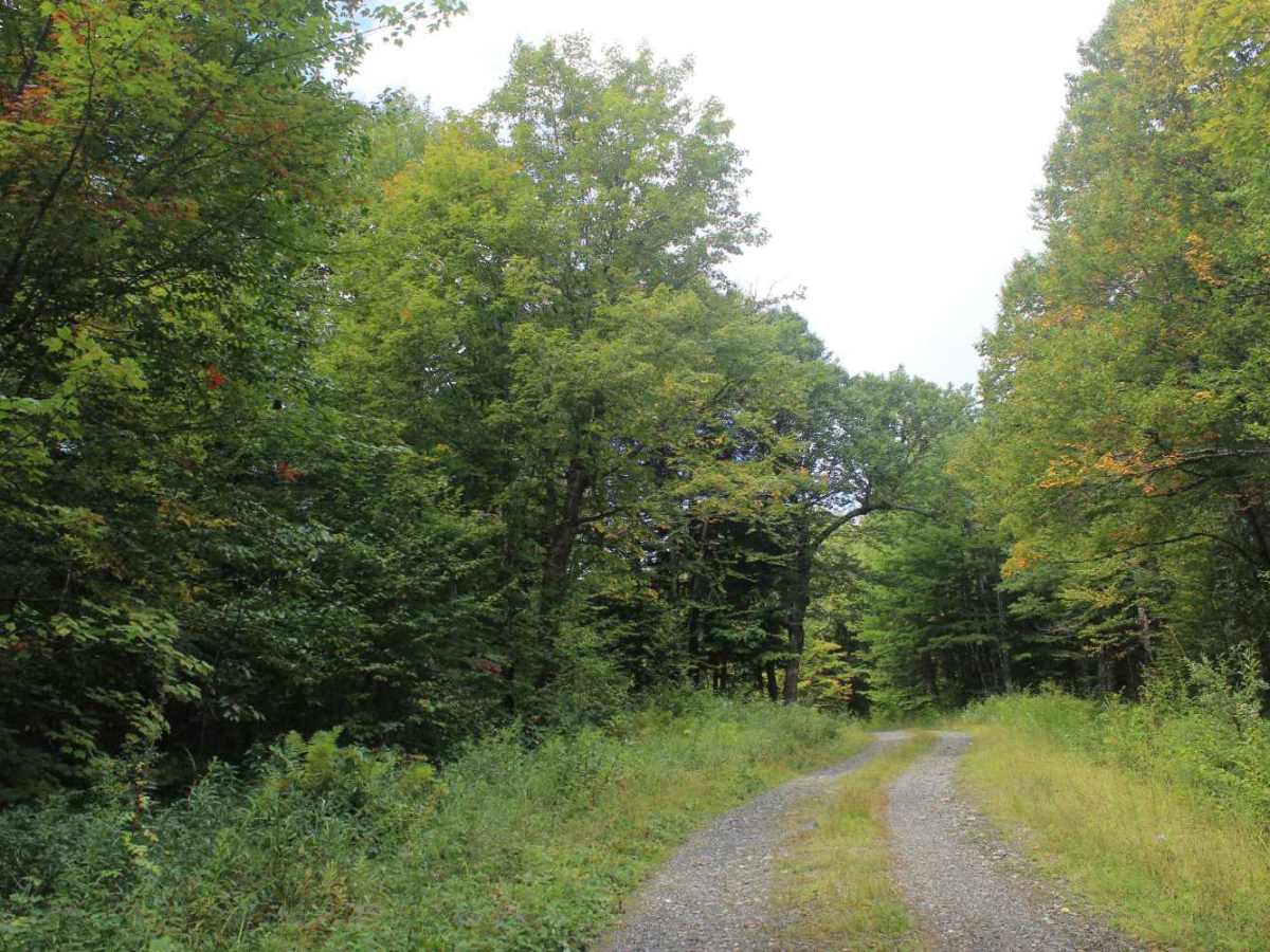 Lamb Valley Brook Trail photo 4