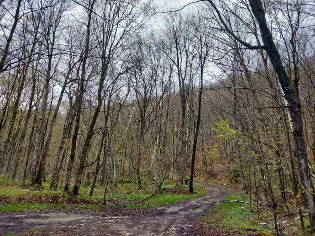 Middle Ridge Road photo 6