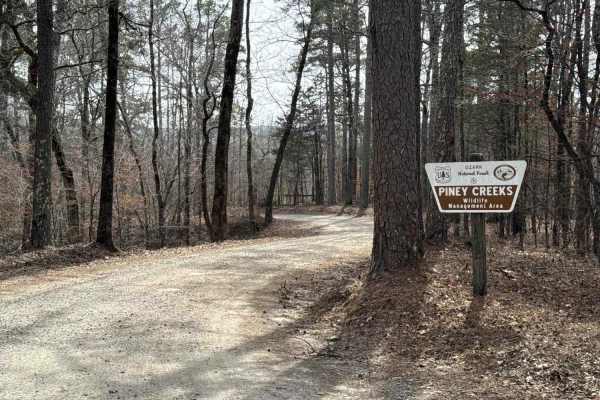 Jakes Creek Road