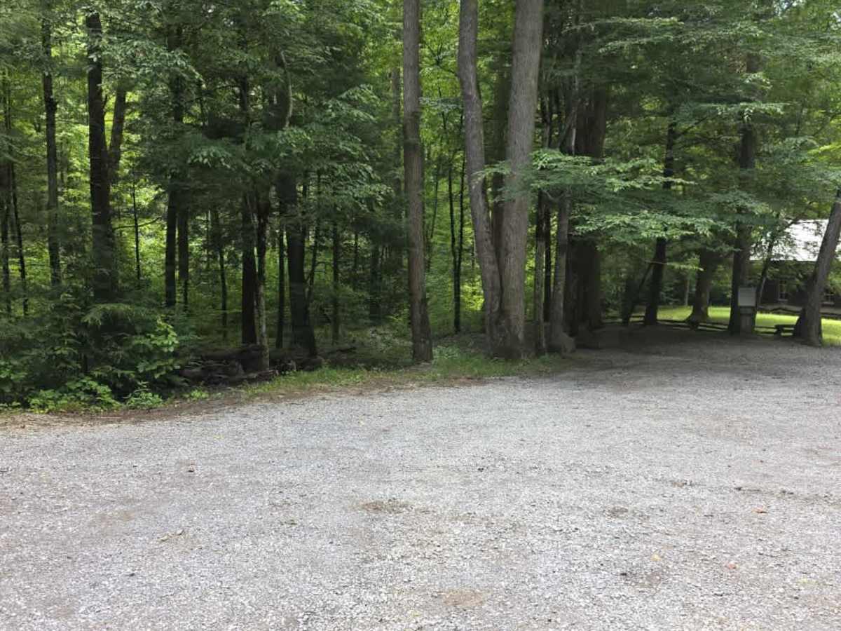 Little Greenbrier Road photo 5