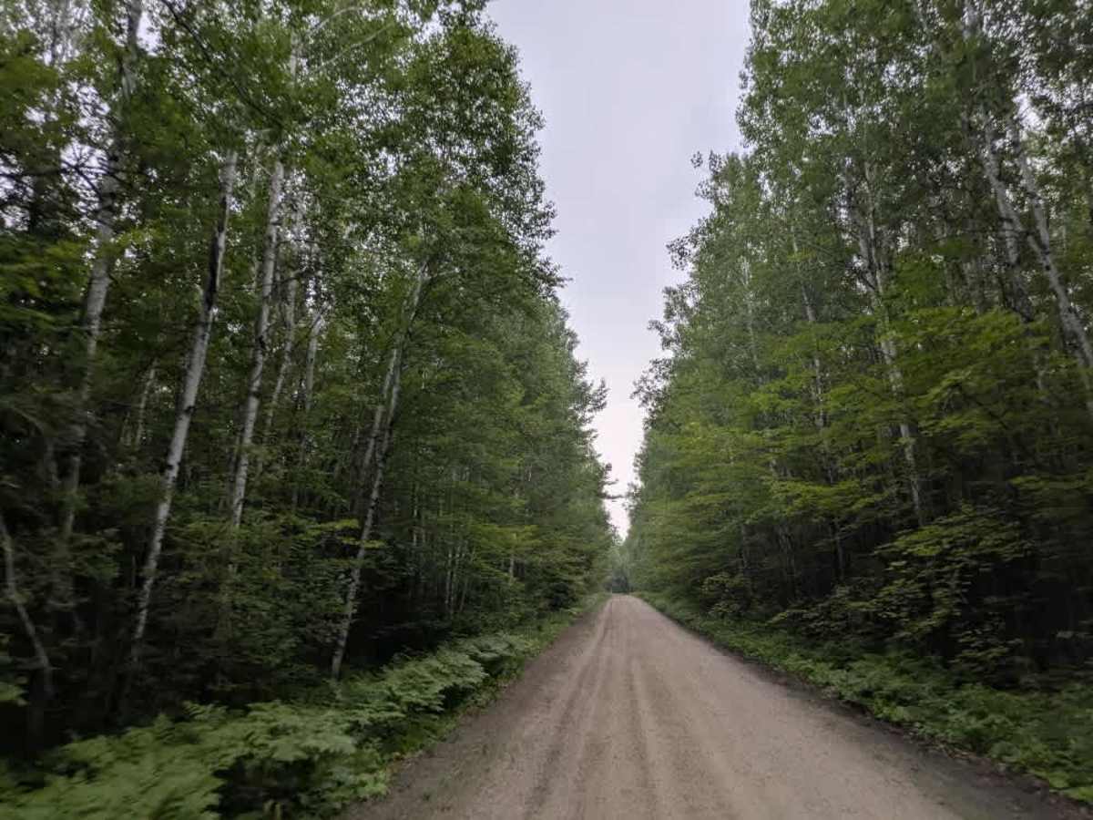 Fawn Creek Road photo 2