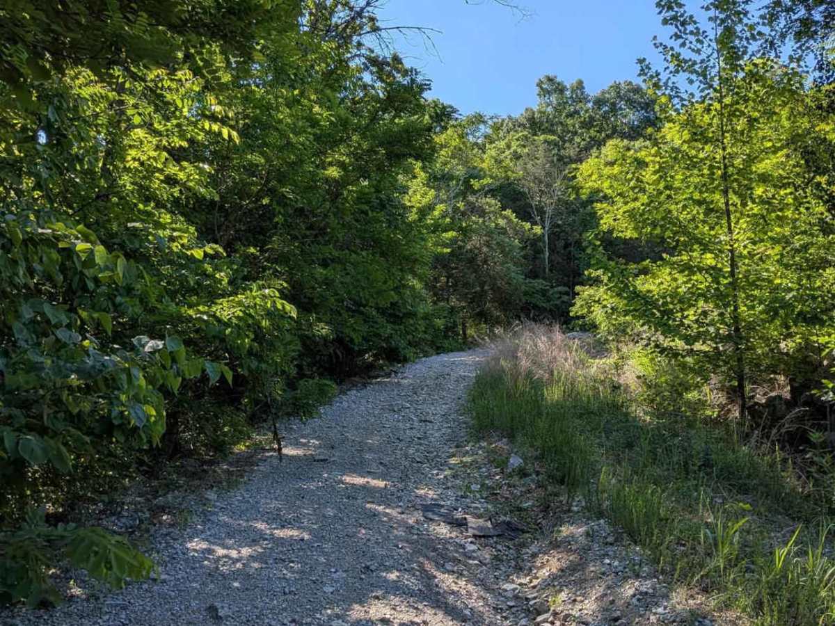 Old Rowe Gap Road photo 3