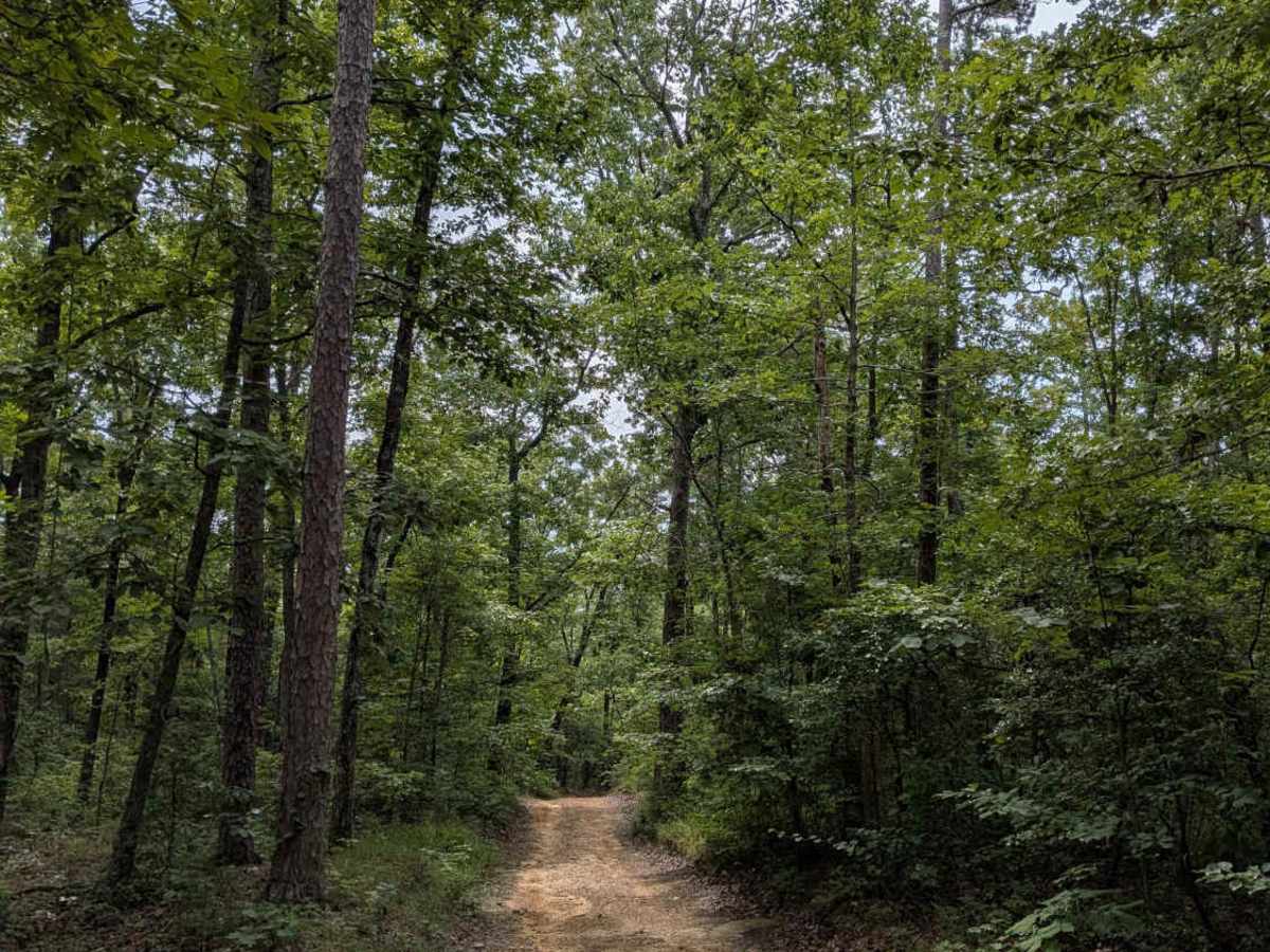 Inman Loop Road photo 2