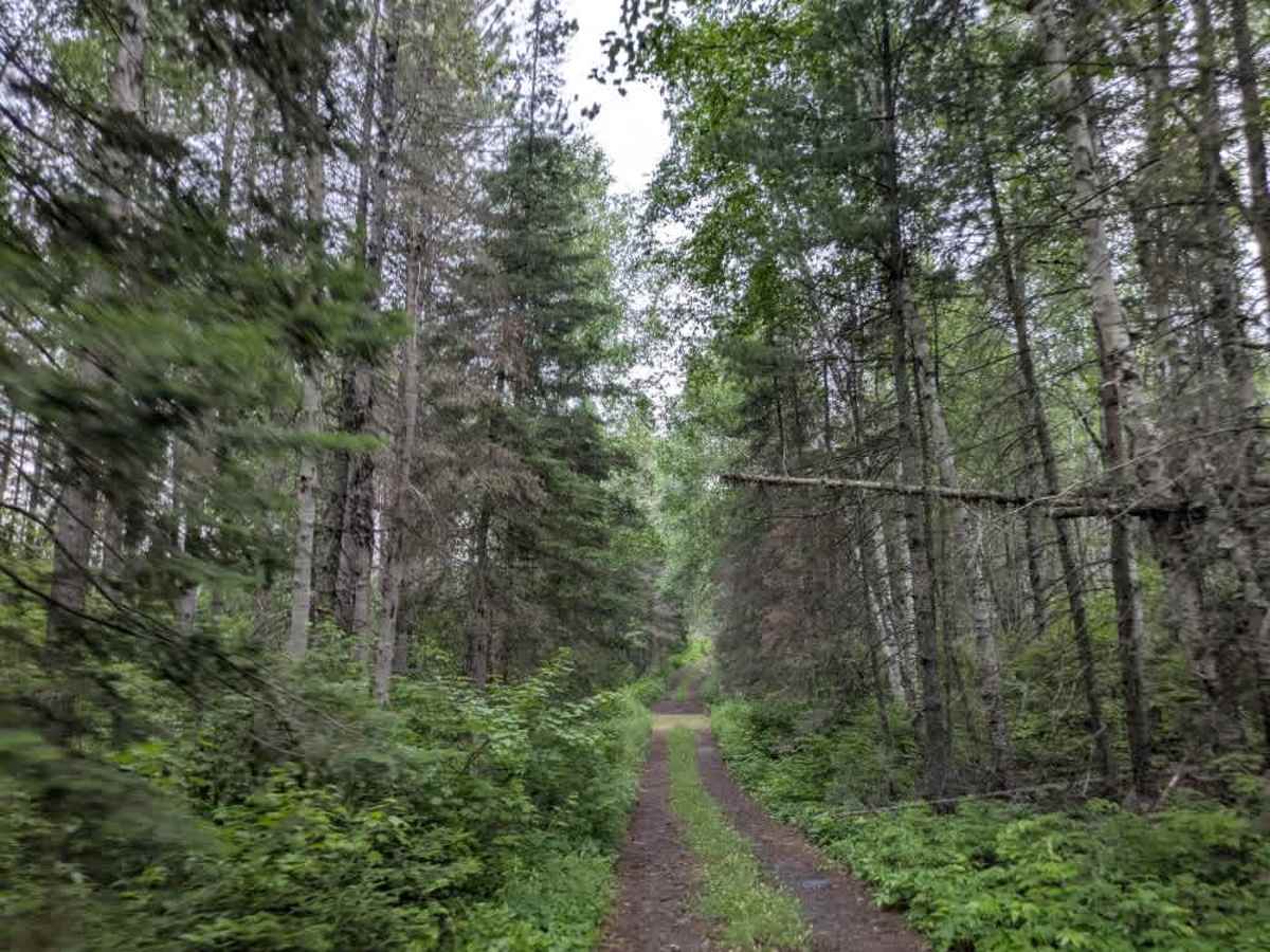 August Creek  photo 3