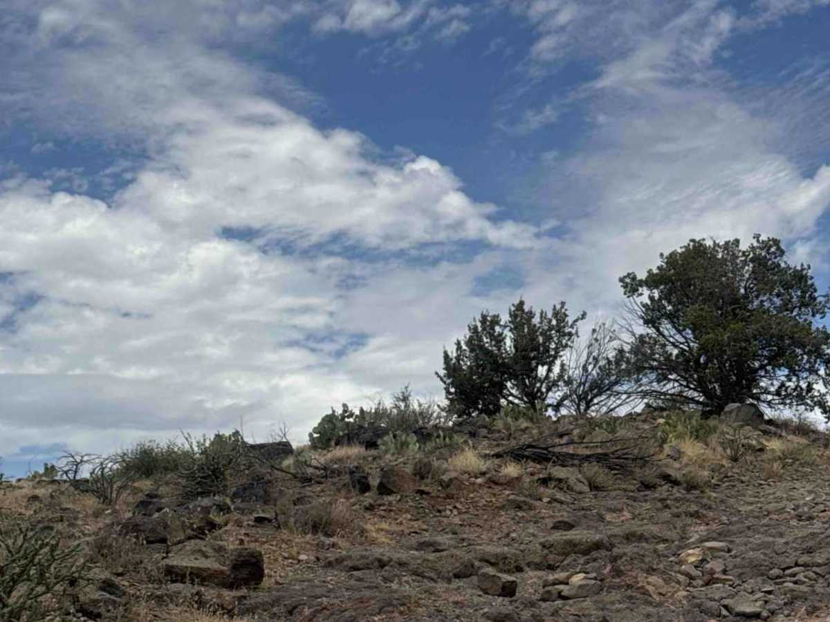 Brooklyn Mine - Trail 14 photo 3