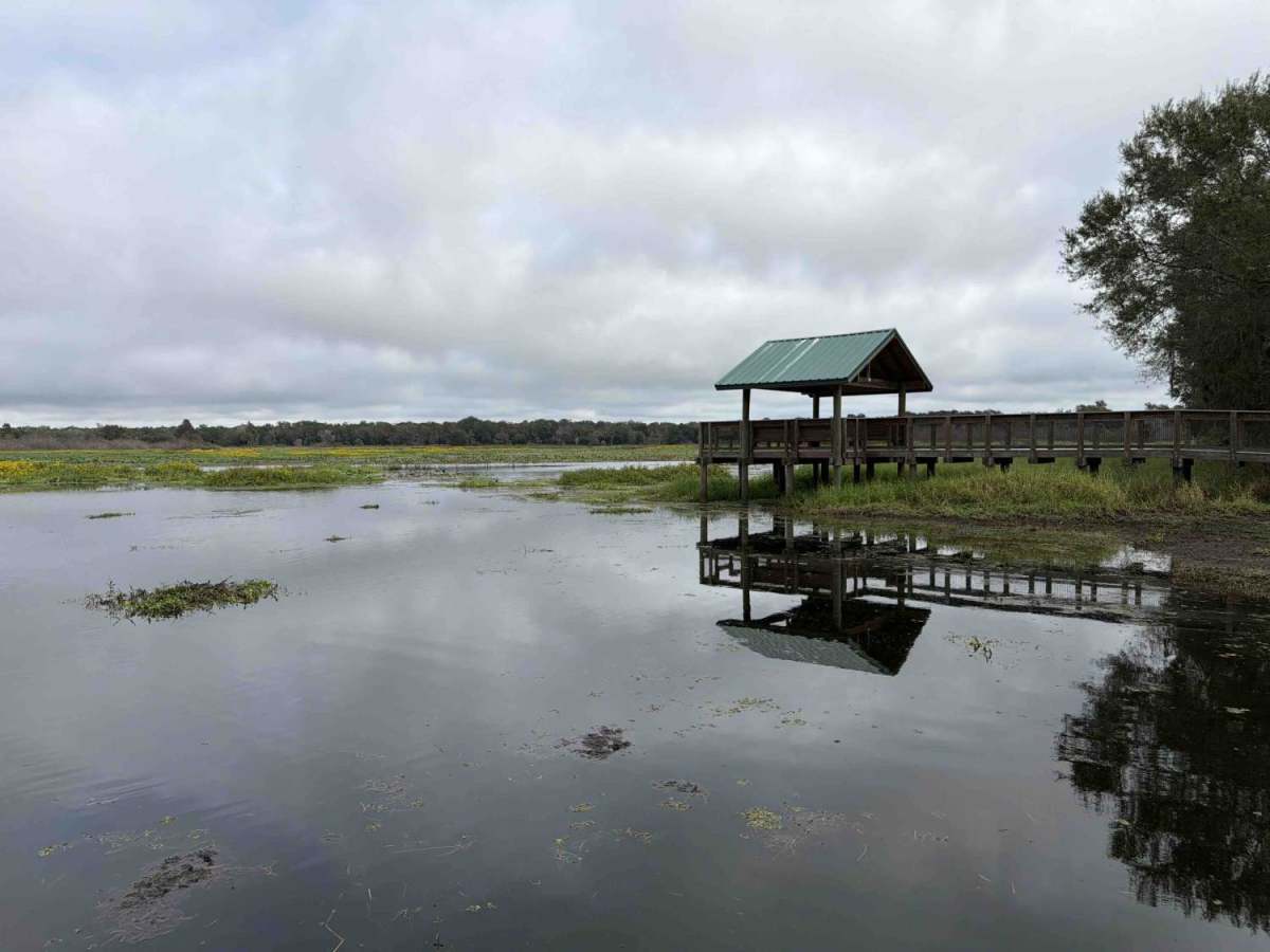 Boat Ramp Road - Three Lakes WMA photo 3