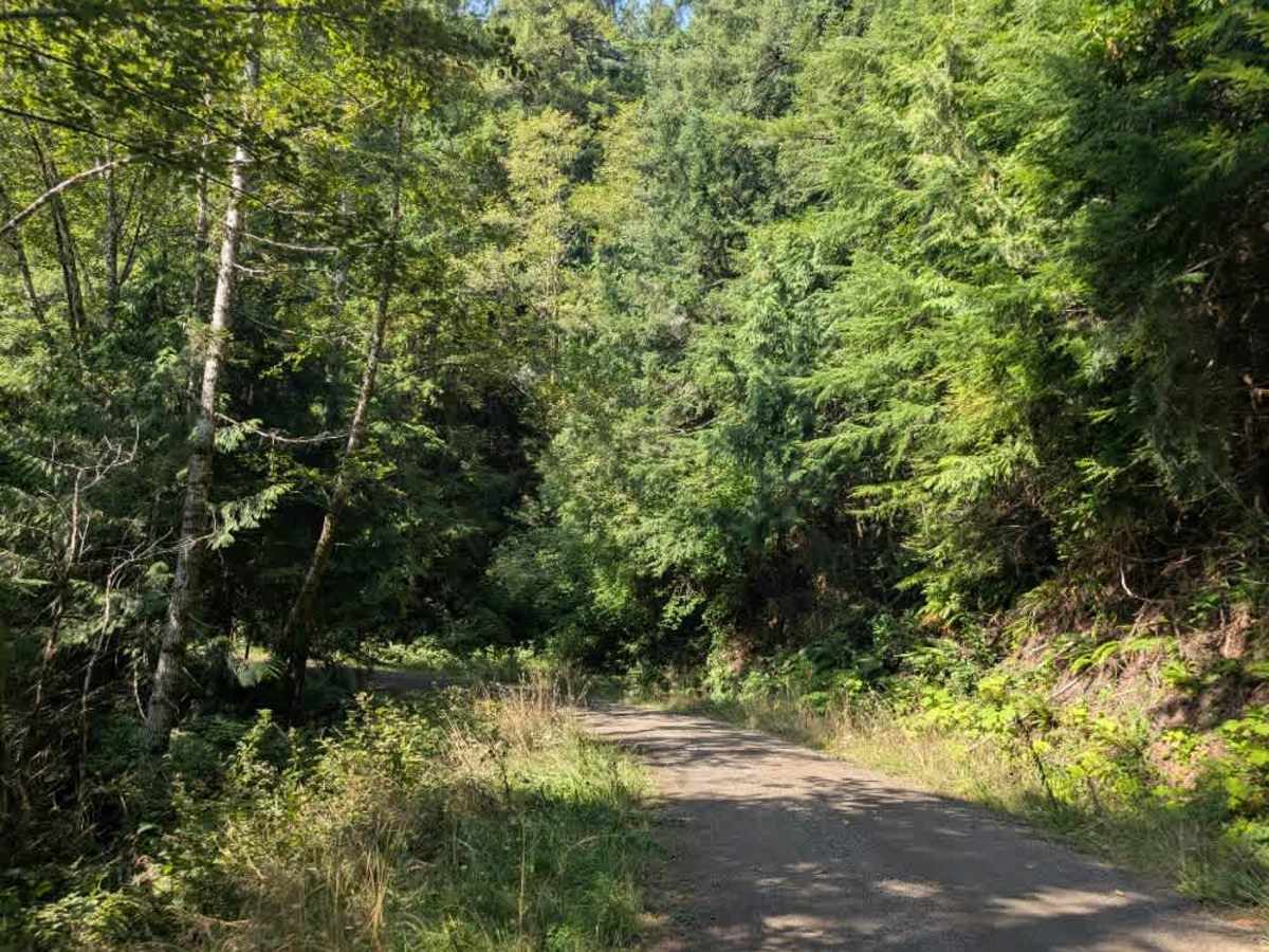 David Ridge Road photo 4