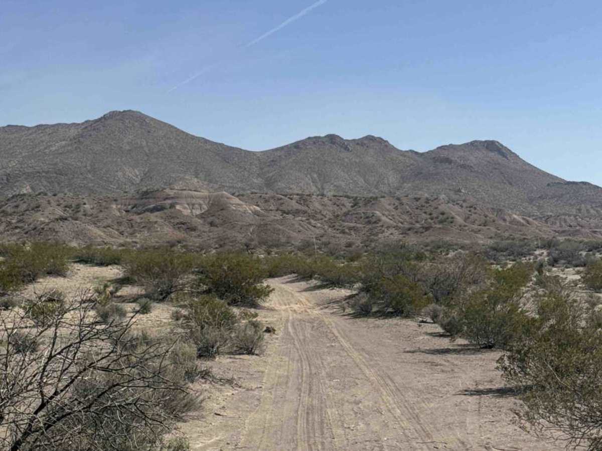 Ss1070 photo 4