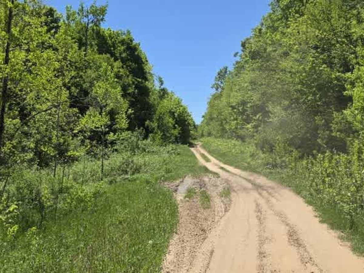 Pipeline Pass photo 3