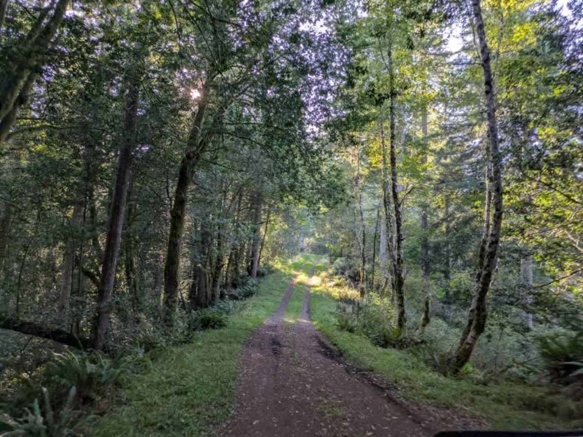 2270 trail photo