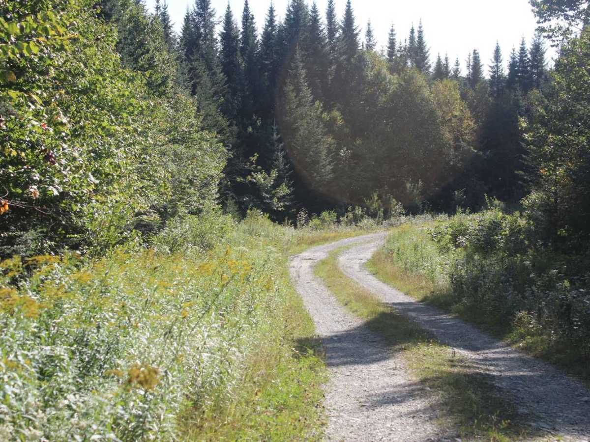 Rump Mountain Trail photo 4