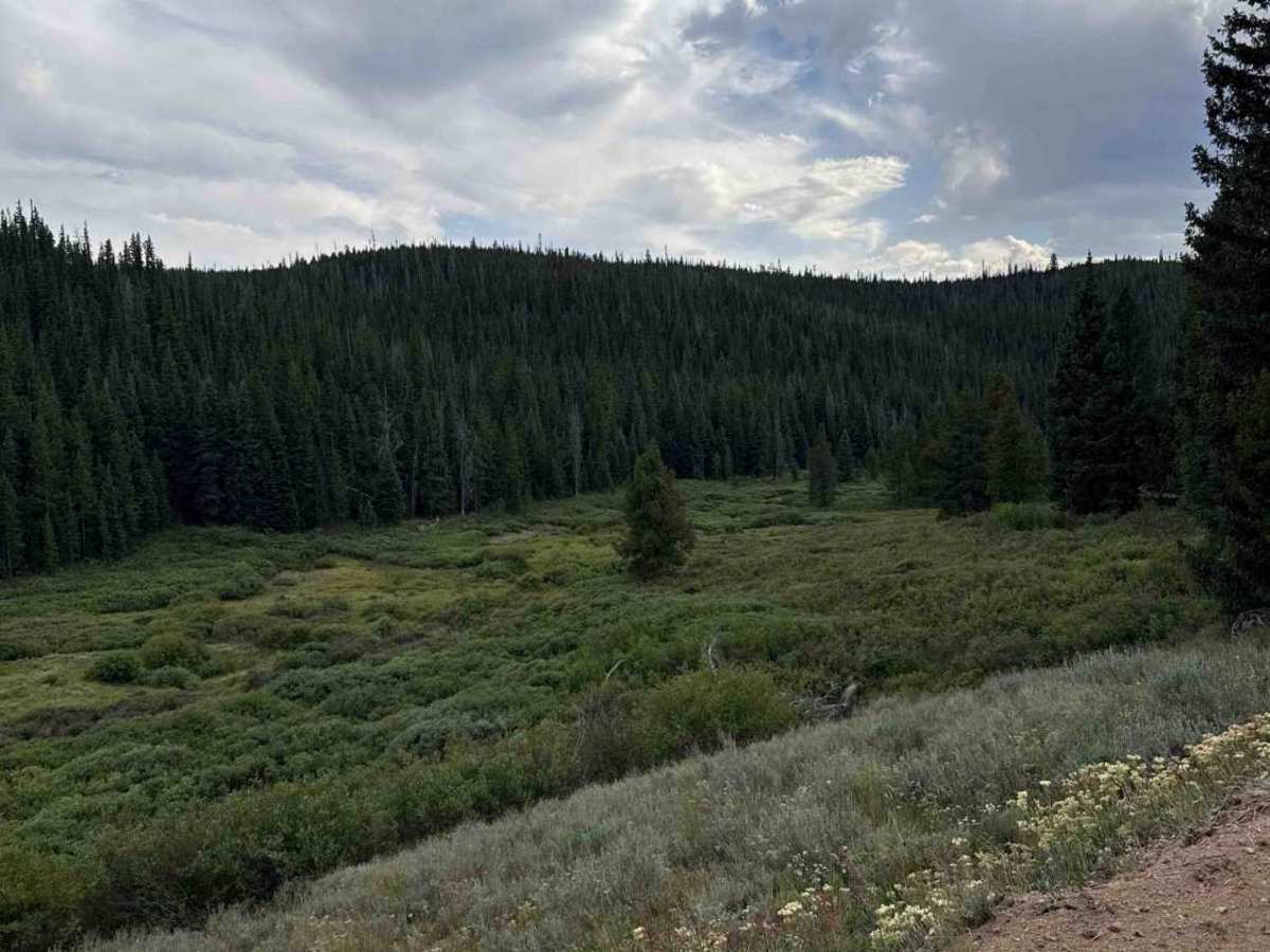 Gore Creek Road - FS 243 photo 6
