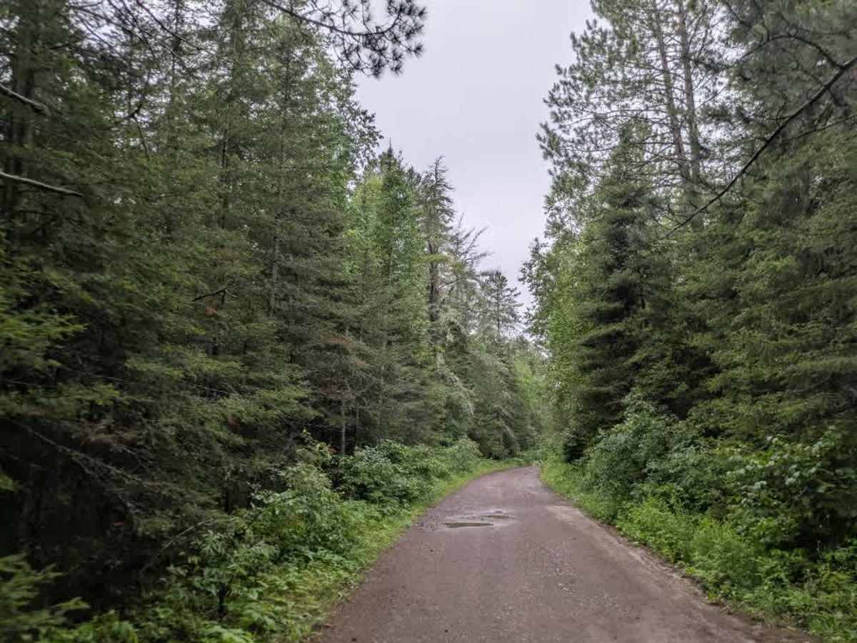 Pancore Lake trail photo