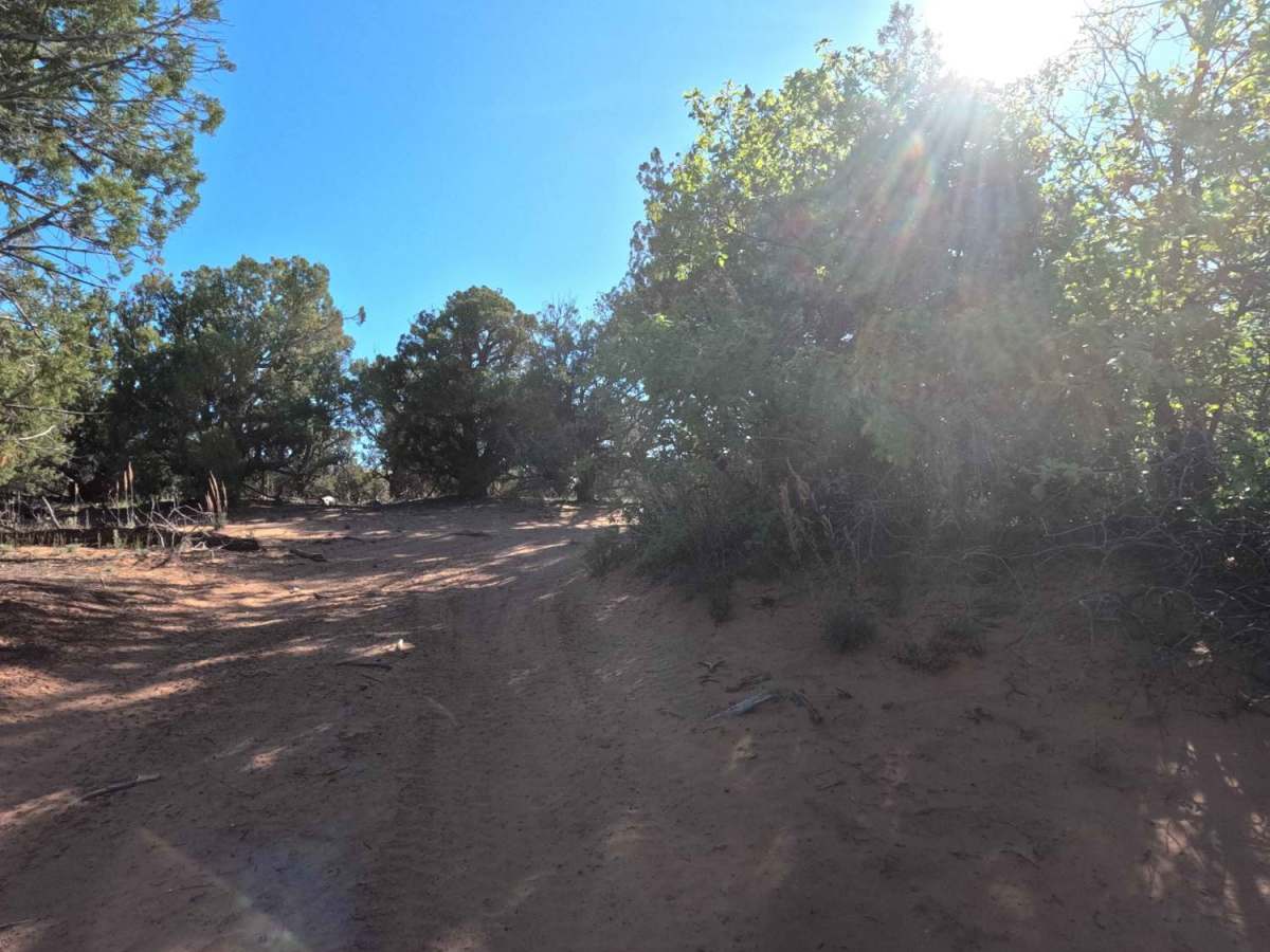 BLM 73P photo 4