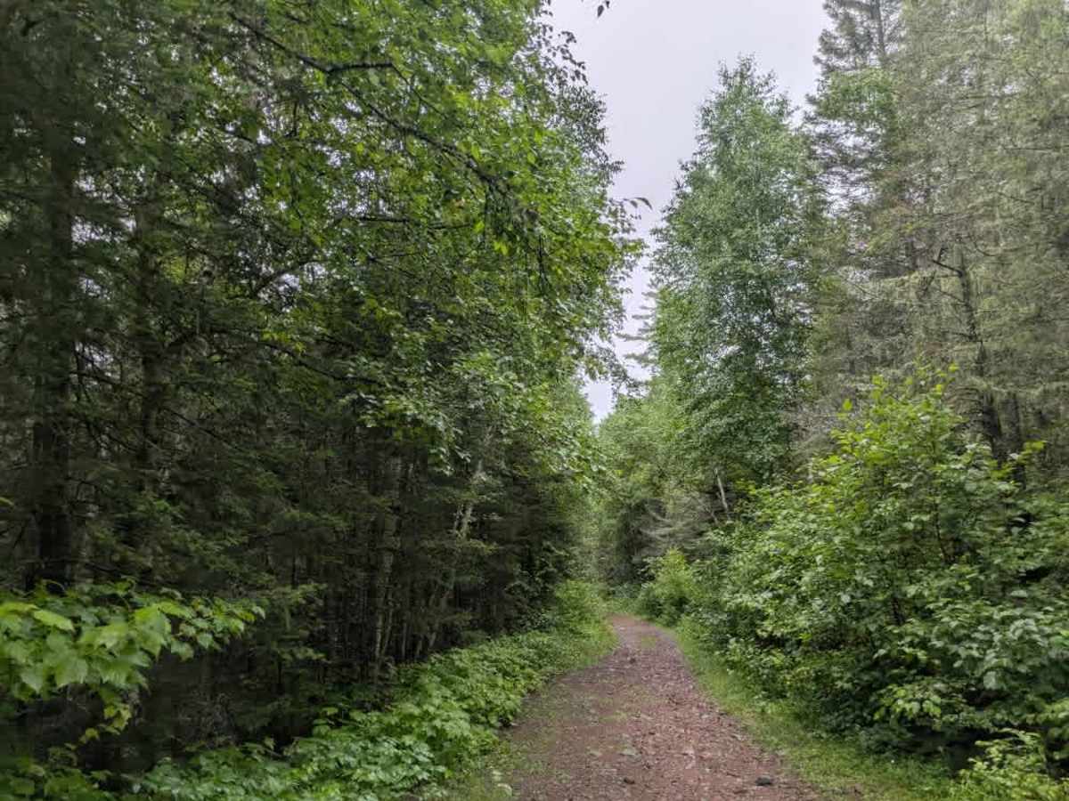 Rice Lake photo 5