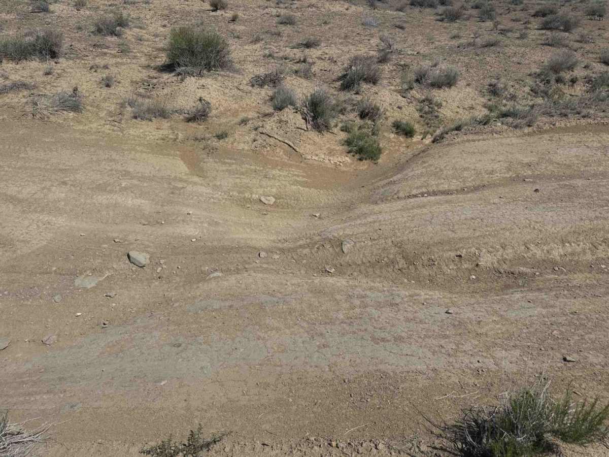 Alstrom Point Trail photo 3