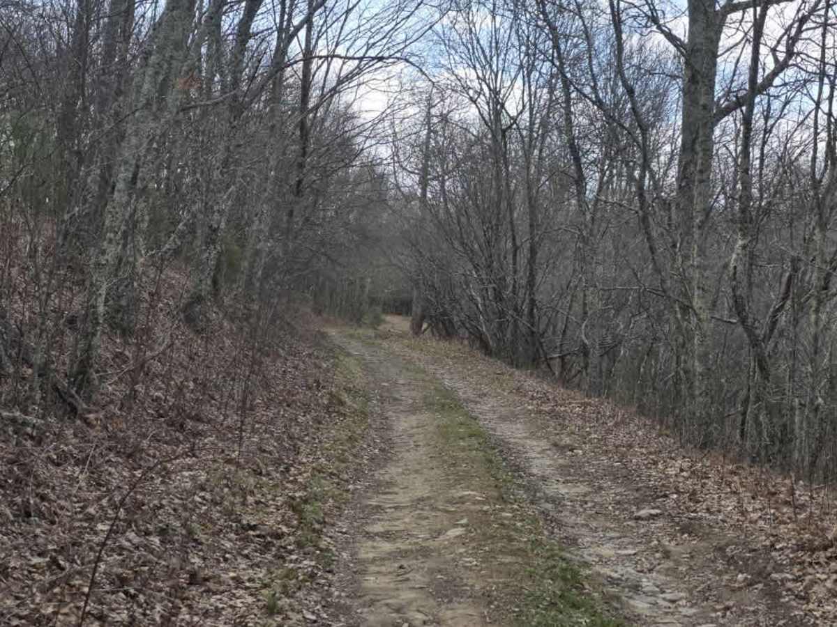 Ephraim Road - FS 5583 photo 6