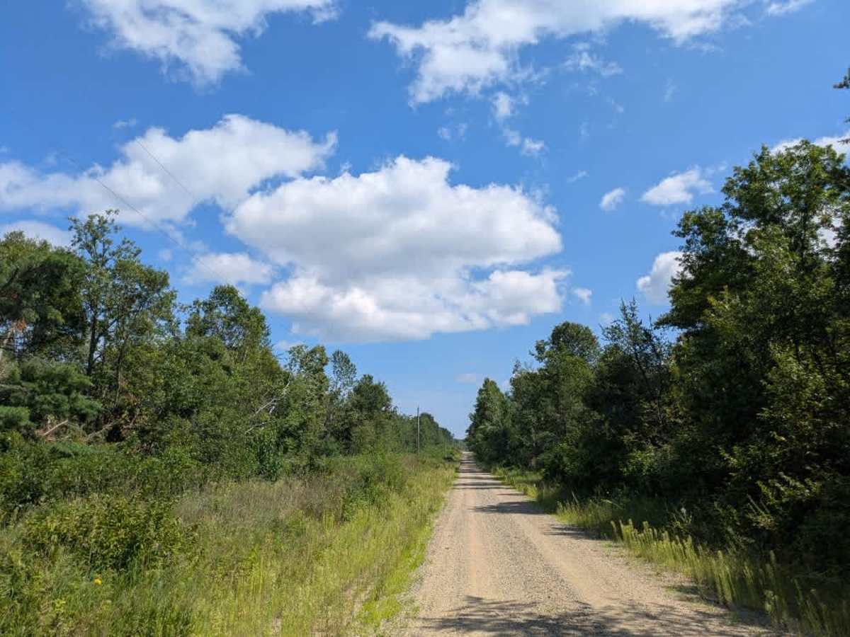 Cass River Road Southeast photo 6