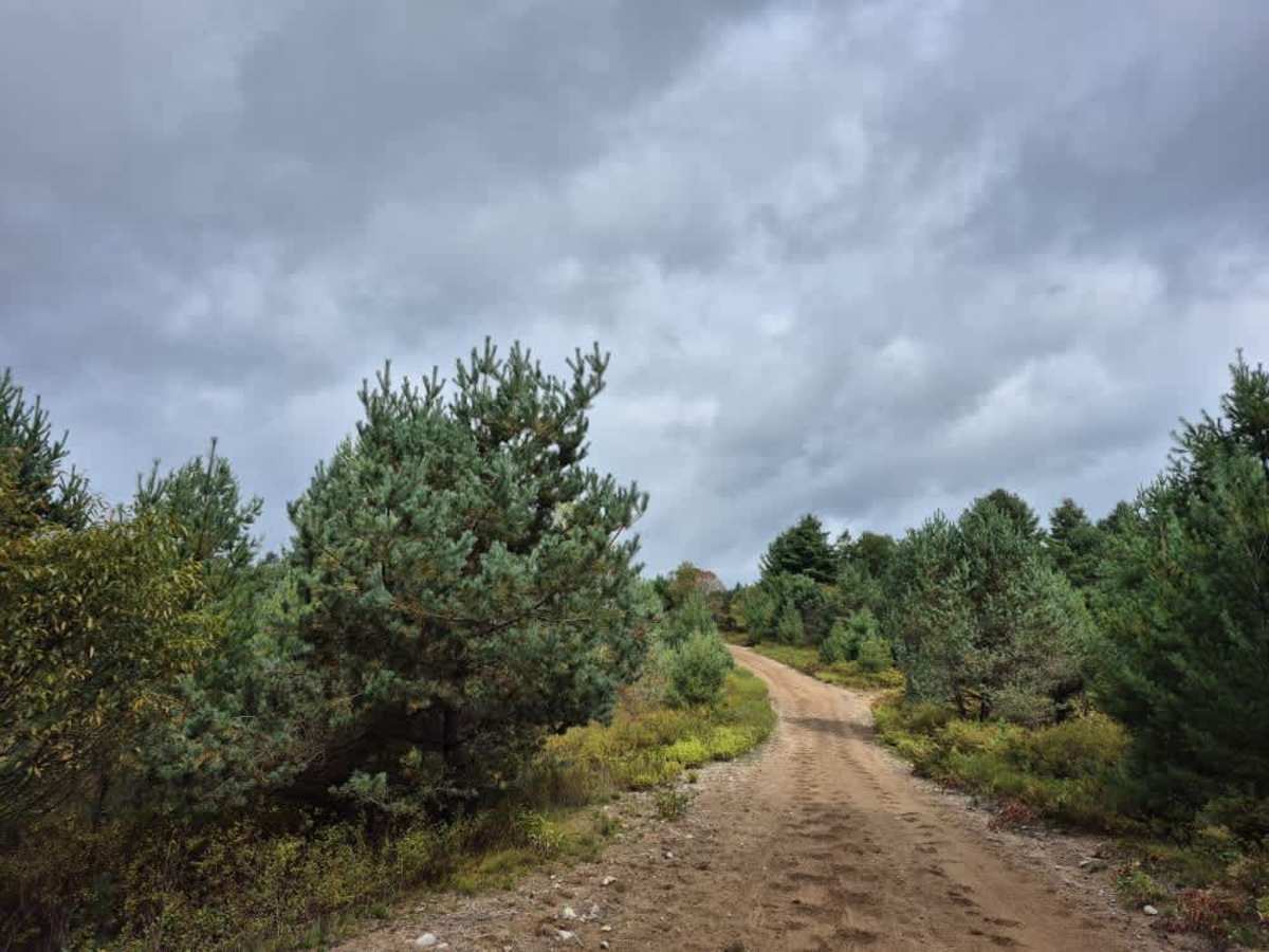 Florence Pond Road photo 4