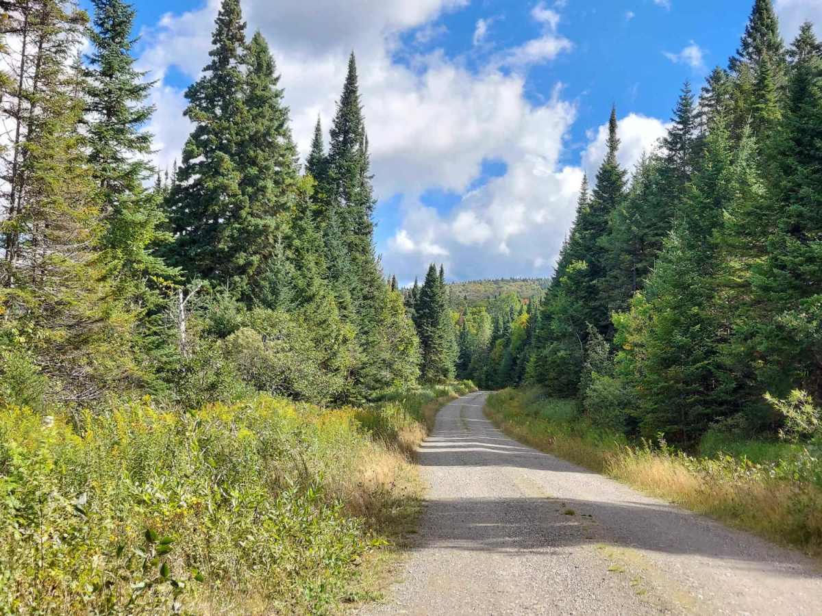 Scott Bog Road photo 4