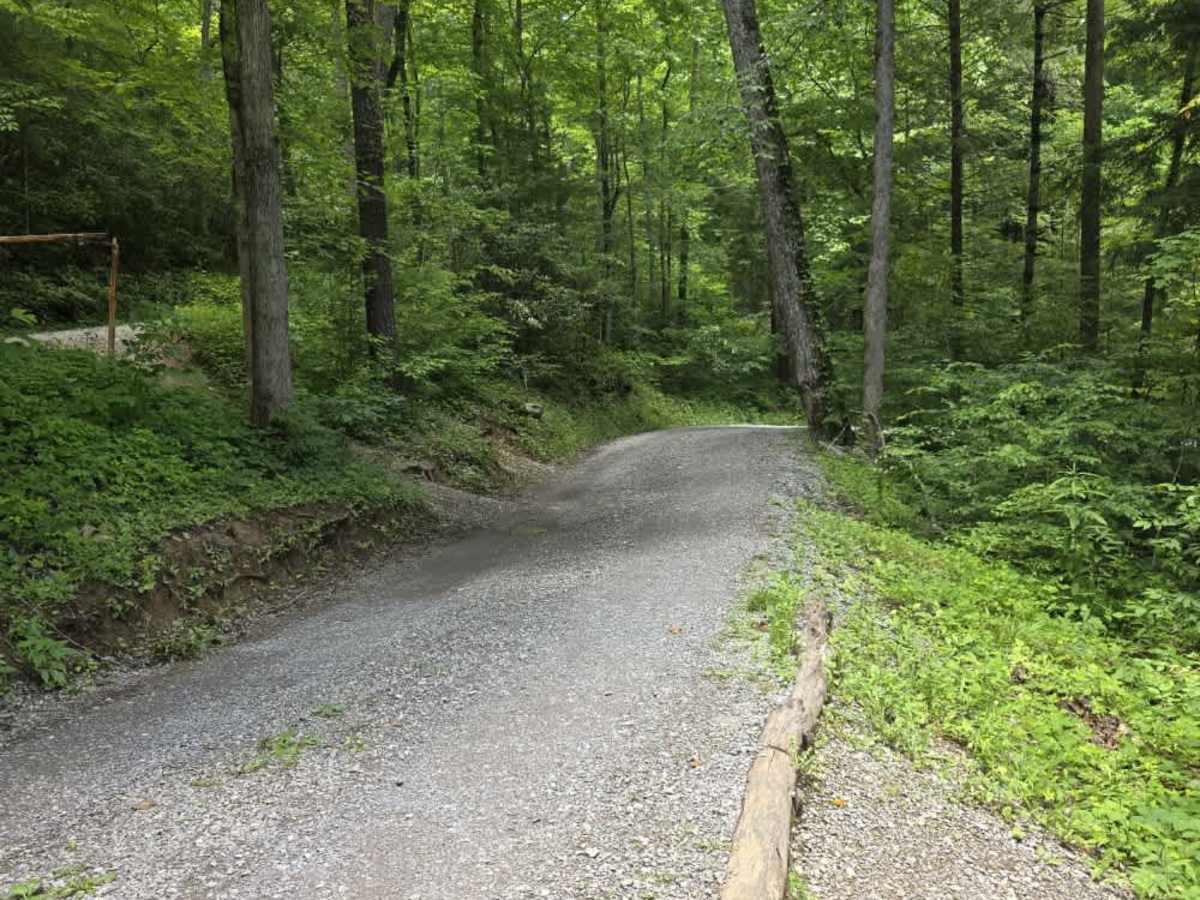 Little Greenbrier Road photo 4