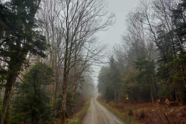 Prospect Mountain Trail