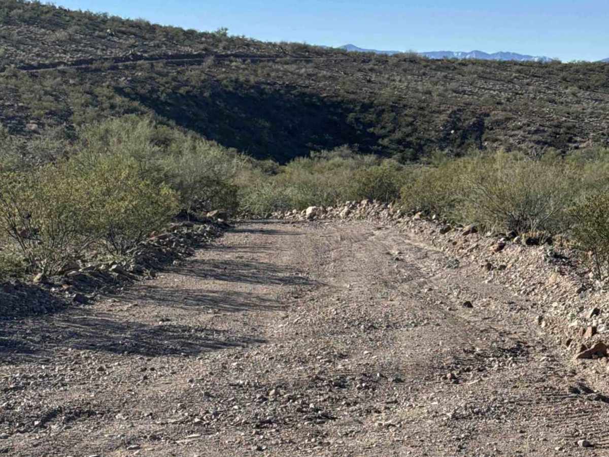 Sa1003 trail photo