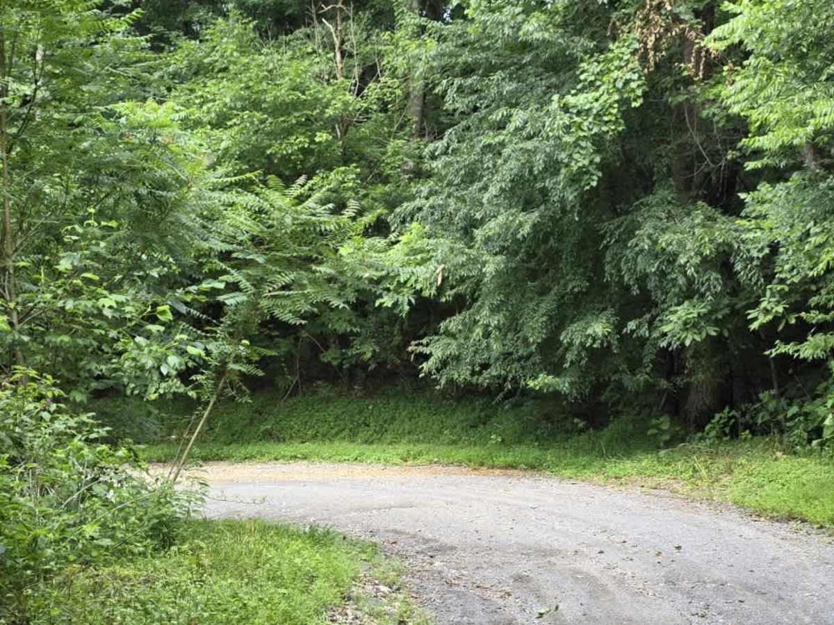 Holland Road - Macon County Tour photo 5