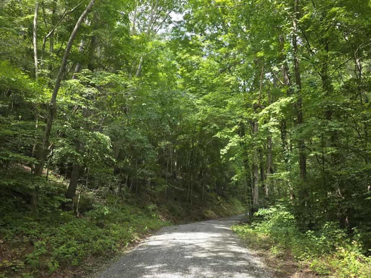 Polecat Hollar  trail photo