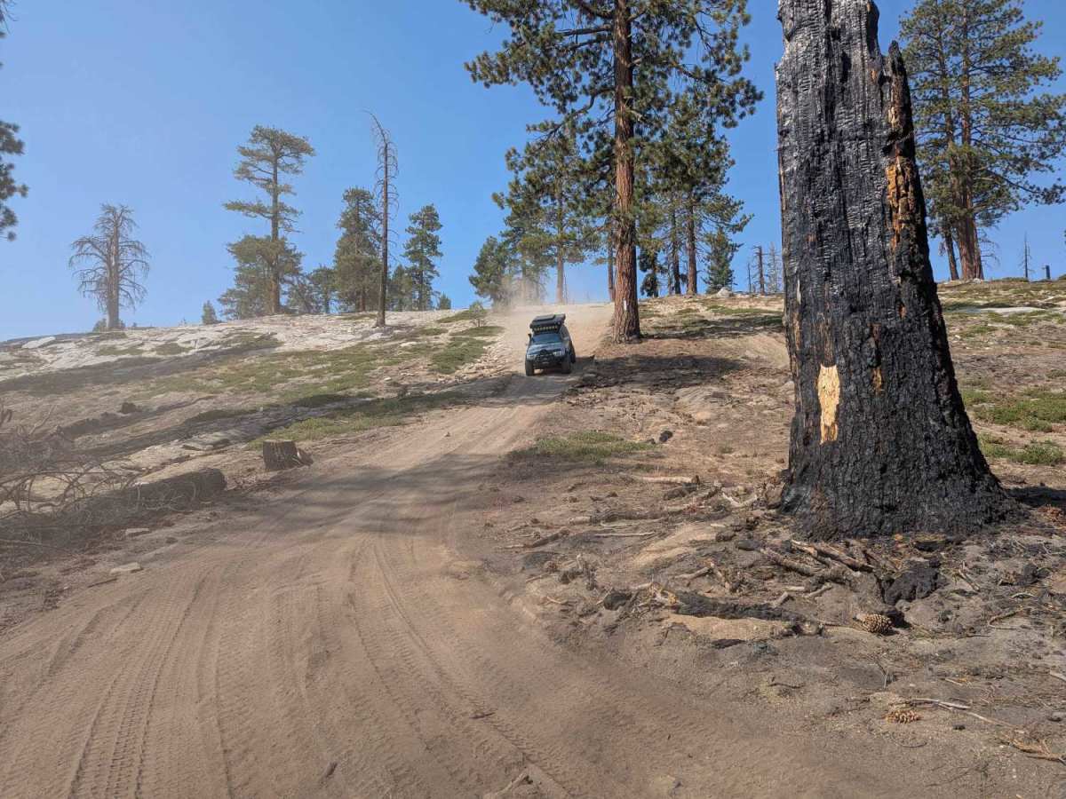 Top O Hill - FS 25E308 photo 4