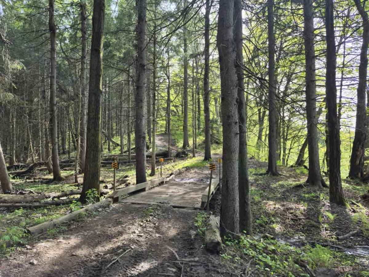 Upper Forks-Factory Trail trail photo