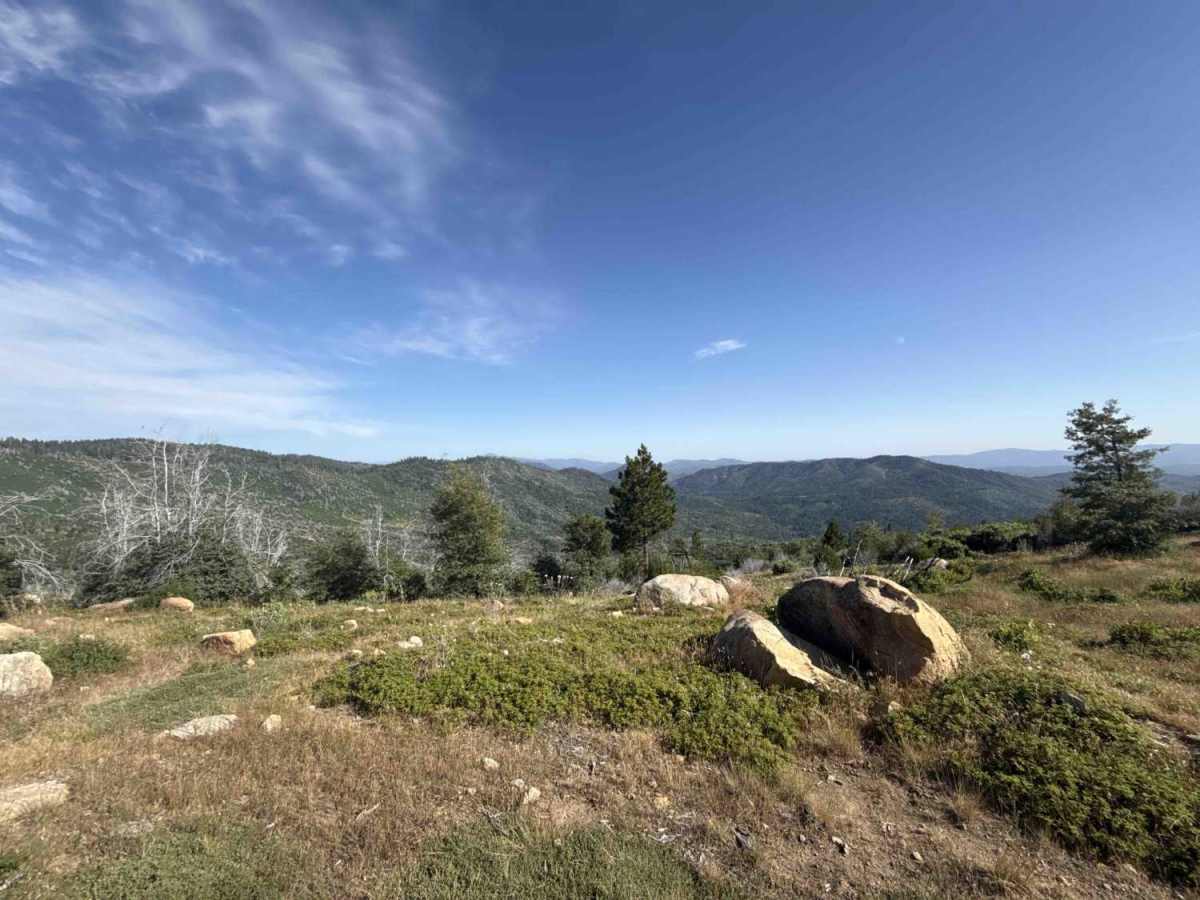 FS 2S01 trail photo