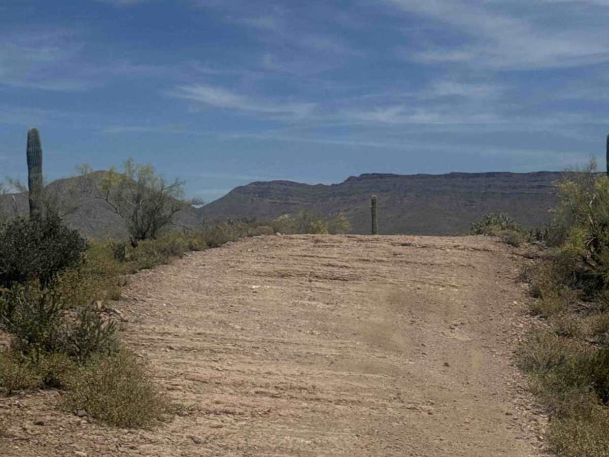 BLM 28057 photo 2